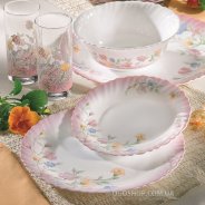 Столовый сервиз Luminarc Elise D6901 (19 предметов)