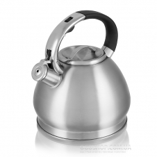 Чайник Aurora AU-614 (3 л)