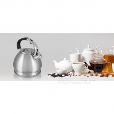 Чайник Aurora AU-614 (3 л)