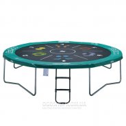 Батут Berg Favorit Tattoo 430 см