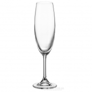 Набор бокалов для шампанского Bohemia Klara 4S415/00000/220 (220 мл)