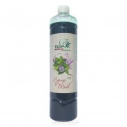 купити Сироп М'ята Light TOP sirop (1 л) Сироп М'ята Light TOP sirop (1 л)