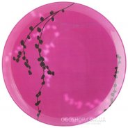 Тарелка десертная Luminarc Kashima Fushia G9712