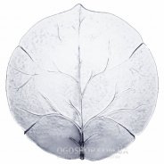 Тарелка десертная Luminarc Leafen G6595