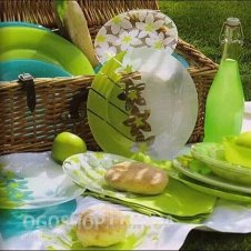 Столовий сервіз Luminarc Pimprenelle C0908 (19 предметів)