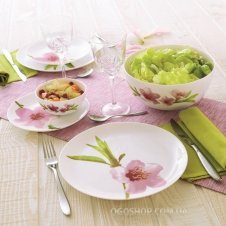 Столовий сервіз Luminarc Water Color E4905 (19 предметів)