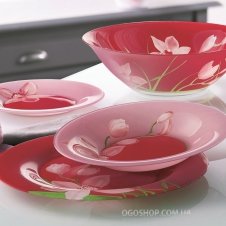 Столовий сервіз Luminarc Red Orchis G0663 (19 предметів)