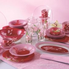 Столовий сервіз Luminarc Red Orchis G0663 (19 предметів)