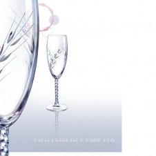 Набор бокалов для шампанского Cristal D`Arcues Diamax Fleury Epi G4981