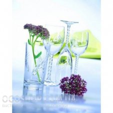 Набор бокалов для шампанского Cristal D`Arcues Diamax Fleury Epi G4981