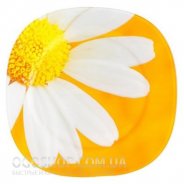 купить Тарелка обеденная Luminarc Carine Paquerette Melon G5972 Тарелка обеденная Luminarc Carine Paquerette Melon G5972