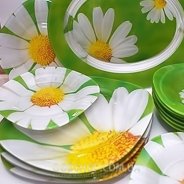 купить Столовый сервиз Luminarc Carine Paquerette G8909 (19 предметов) Столовый сервиз Luminarc Carine Paquerette G8909 (19 предметов)