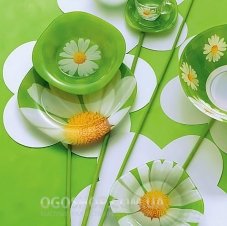 Столовий сервіз Luminarc Carine Paquerette G8909 (19 предметів)