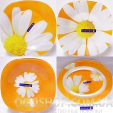 Столовый сервиз Luminarc Paquerette Melon G8947 (19 предметов)