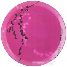 Тарелка суповая Luminarc Kashima Fushia G9320