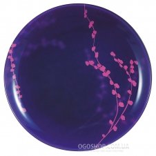 Столовый сервиз Luminarc Kashima Purple G9711 (19 предметов)