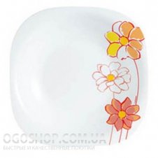 Столовий сервіз Luminarc Fresh Garden H8654 (19 предметів)