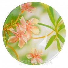 Столовий сервіз Luminarc Carina Freesia N7124 (71 предмет)