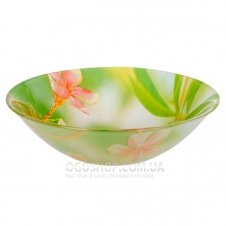 Столовий сервіз Luminarc Carina Freesia N7124 (71 предмет)