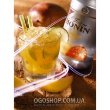 Фруктовое пюре Le Fruit de MONIN Манго (1 л)