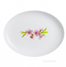 Столовий сервіс Luminarc Diwali Water Color Q3438 (19 предметів)