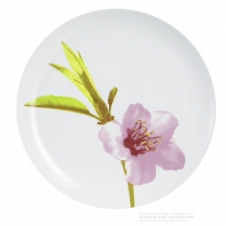 Столовий сервіс Luminarc Diwali Water Color Q3438 (19 предметів)