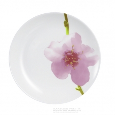 Столовий сервіс Luminarc Diwali Water Color Q3438 (19 предметів)