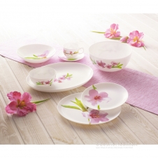 Столовий сервіс Luminarc Diwali Water Color Q3438 (19 предметів)